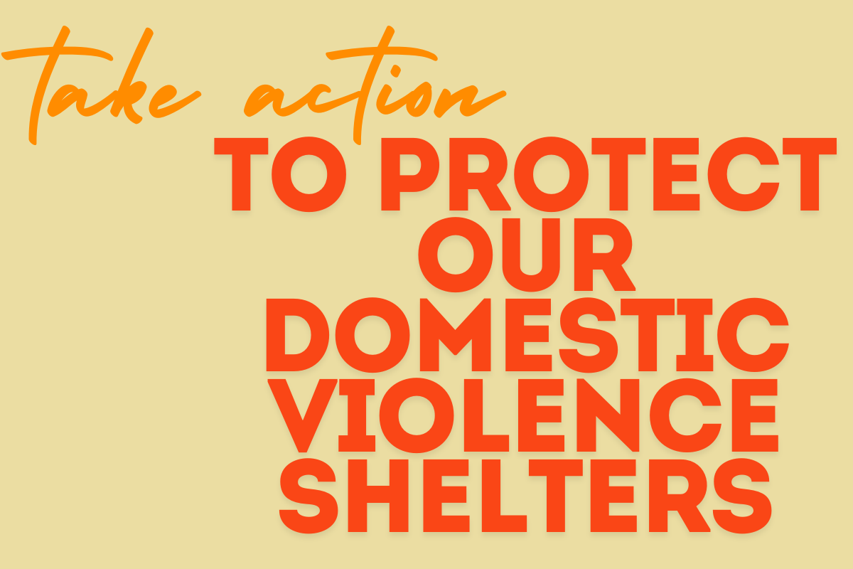 Take action to protect our domestic violence shelters